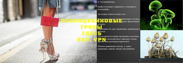 тгк Алзамай