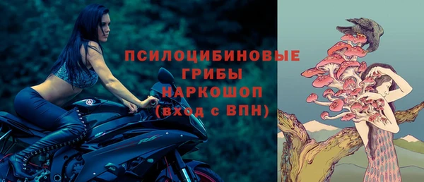 тгк Алзамай