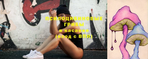 тгк Алзамай