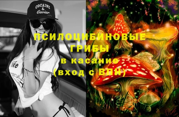 тгк Алзамай